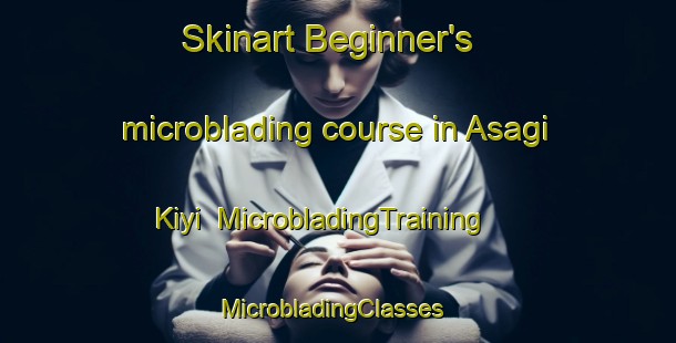 Skinart Beginner's microblading course in Asagi Kiyi | MicrobladingTraining | MicrobladingClasses | SkinartTraining-Turkey