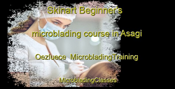 Skinart Beginner's microblading course in Asagi Oezluece | #MicrobladingTraining #MicrobladingClasses #SkinartTraining-Turkey