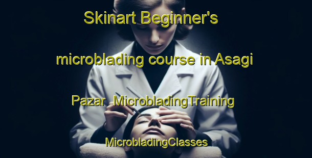 Skinart Beginner's microblading course in Asagi Pazar | #MicrobladingTraining #MicrobladingClasses #SkinartTraining-Turkey