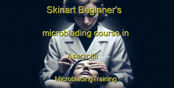 Skinart Beginner's microblading course in Asagicitli | #MicrobladingTraining #MicrobladingClasses #SkinartTraining-Turkey