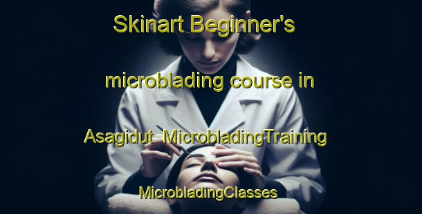 Skinart Beginner's microblading course in Asagidut | MicrobladingTraining | MicrobladingClasses | SkinartTraining-Turkey