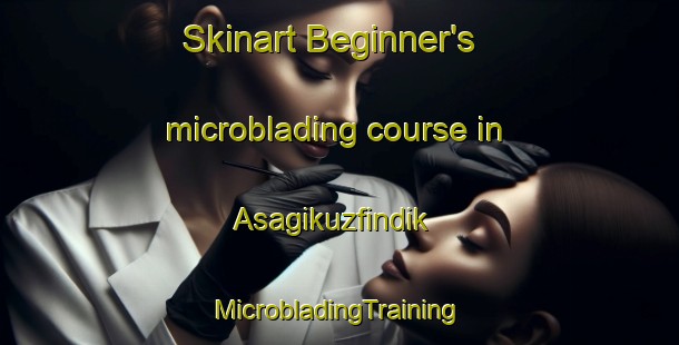 Skinart Beginner's microblading course in Asagikuzfindik | #MicrobladingTraining #MicrobladingClasses #SkinartTraining-Turkey