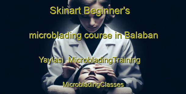 Skinart Beginner's microblading course in Balaban Yaylasi | #MicrobladingTraining #MicrobladingClasses #SkinartTraining-Turkey