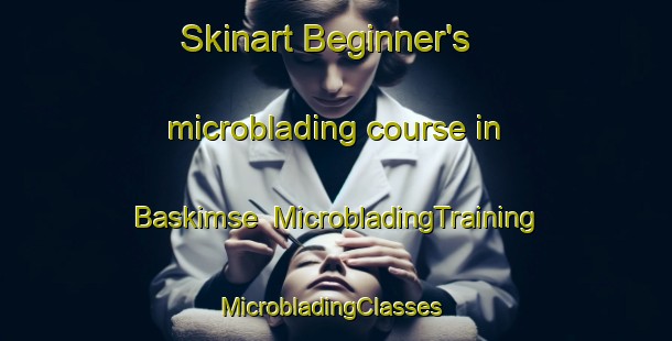 Skinart Beginner's microblading course in Baskimse | MicrobladingTraining | MicrobladingClasses | SkinartTraining-Turkey