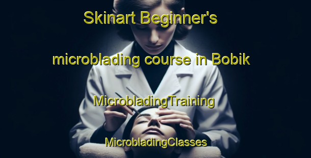 Skinart Beginner's microblading course in Bobik | #MicrobladingTraining #MicrobladingClasses #SkinartTraining-Turkey