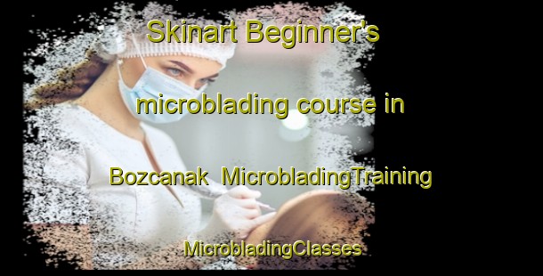 Skinart Beginner's microblading course in Bozcanak | #MicrobladingTraining #MicrobladingClasses #SkinartTraining-Turkey