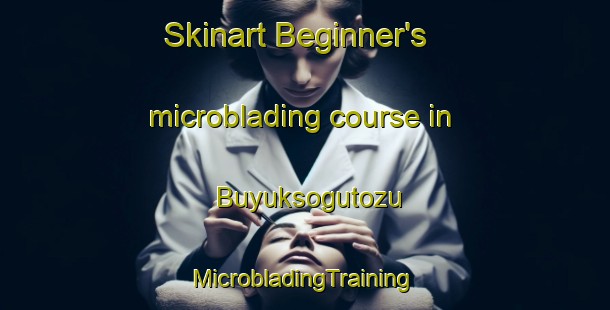 Skinart Beginner's microblading course in Buyuksogutozu | #MicrobladingTraining #MicrobladingClasses #SkinartTraining-Turkey