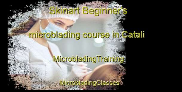 Skinart Beginner's microblading course in Catali | MicrobladingTraining | MicrobladingClasses | SkinartTraining-Turkey