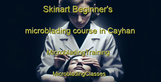 Skinart Beginner's microblading course in Cayhan | MicrobladingTraining | MicrobladingClasses | SkinartTraining-Turkey
