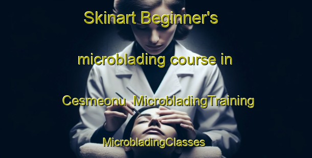 Skinart Beginner's microblading course in Cesmeonu | MicrobladingTraining | MicrobladingClasses | SkinartTraining-Turkey