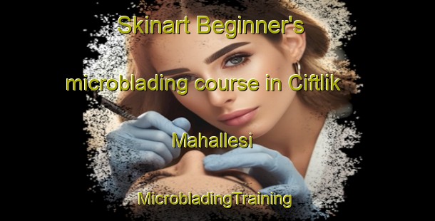 Skinart Beginner's microblading course in Ciftlik Mahallesi | #MicrobladingTraining #MicrobladingClasses #SkinartTraining-Turkey