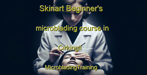 Skinart Beginner's microblading course in Cirkingil | MicrobladingTraining | MicrobladingClasses | SkinartTraining-Turkey