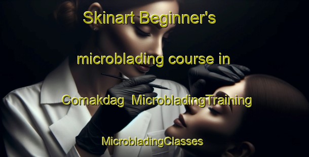 Skinart Beginner's microblading course in Comakdag | MicrobladingTraining | MicrobladingClasses | SkinartTraining-Turkey