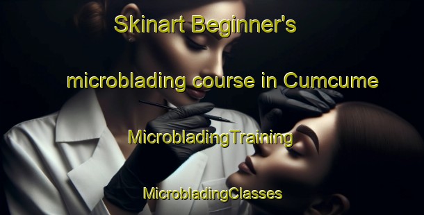 Skinart Beginner's microblading course in Cumcume | #MicrobladingTraining #MicrobladingClasses #SkinartTraining-Turkey