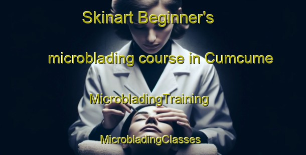 Skinart Beginner's microblading course in Cumcume | MicrobladingTraining | MicrobladingClasses | SkinartTraining-Turkey