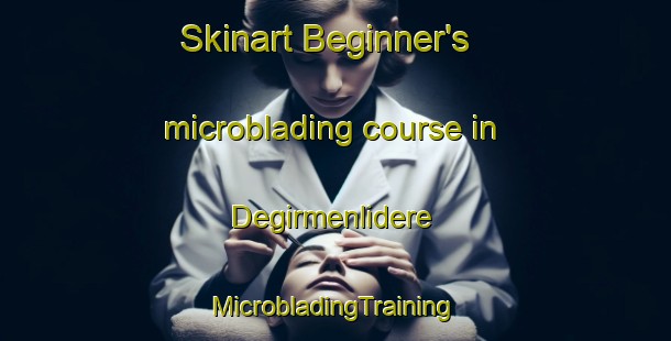 Skinart Beginner's microblading course in Degirmenlidere | #MicrobladingTraining #MicrobladingClasses #SkinartTraining-Turkey