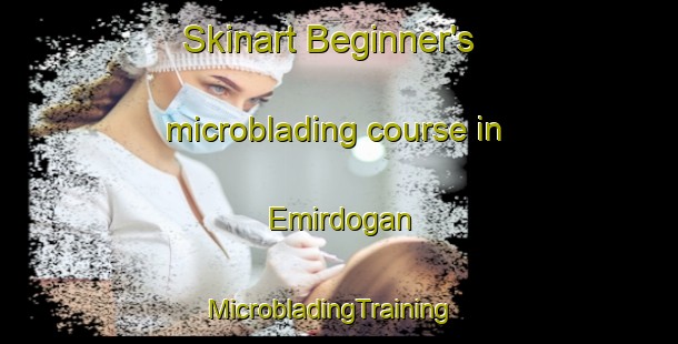 Skinart Beginner's microblading course in Emirdogan | MicrobladingTraining | MicrobladingClasses | SkinartTraining-Turkey