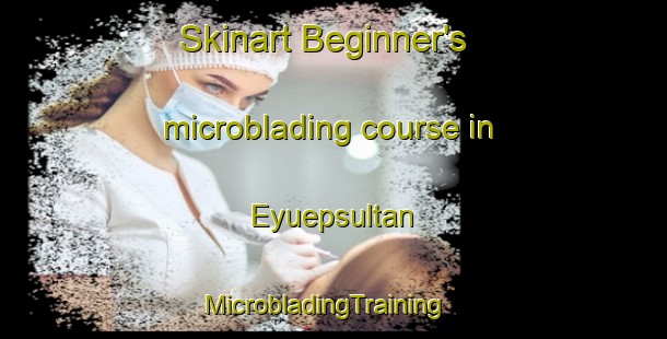 Skinart Beginner's microblading course in Eyuepsultan | MicrobladingTraining | MicrobladingClasses | SkinartTraining-Turkey
