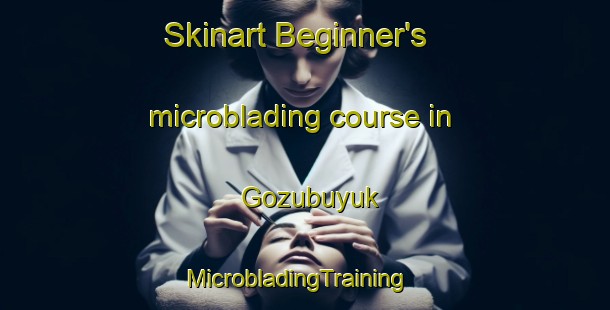 Skinart Beginner's microblading course in Gozubuyuk | MicrobladingTraining | MicrobladingClasses | SkinartTraining-Turkey