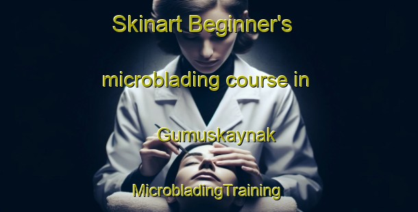 Skinart Beginner's microblading course in Gumuskaynak | #MicrobladingTraining #MicrobladingClasses #SkinartTraining-Turkey