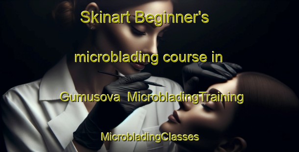 Skinart Beginner's microblading course in Gumusova | #MicrobladingTraining #MicrobladingClasses #SkinartTraining-Turkey