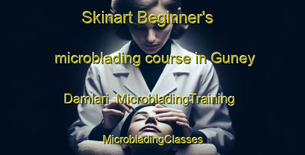 Skinart Beginner's microblading course in Guney Damlari | #MicrobladingTraining #MicrobladingClasses #SkinartTraining-Turkey