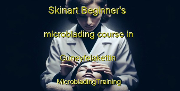 Skinart Beginner's microblading course in Guneyfelakettin | #MicrobladingTraining #MicrobladingClasses #SkinartTraining-Turkey