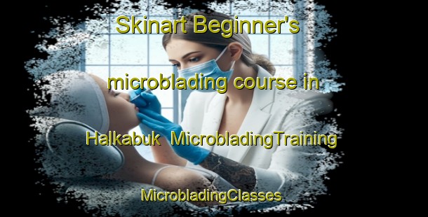 Skinart Beginner's microblading course in Halkabuk | MicrobladingTraining | MicrobladingClasses | SkinartTraining-Turkey