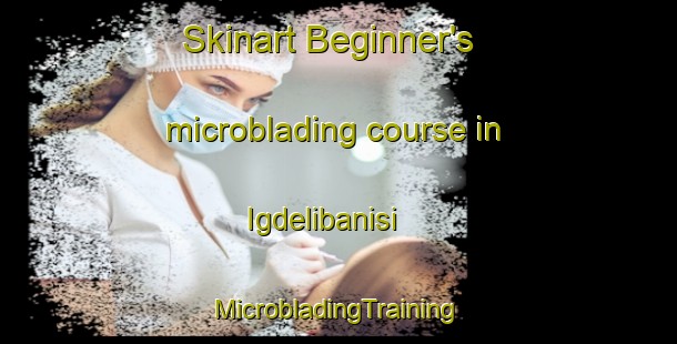 Skinart Beginner's microblading course in Igdelibanisi | #MicrobladingTraining #MicrobladingClasses #SkinartTraining-Turkey