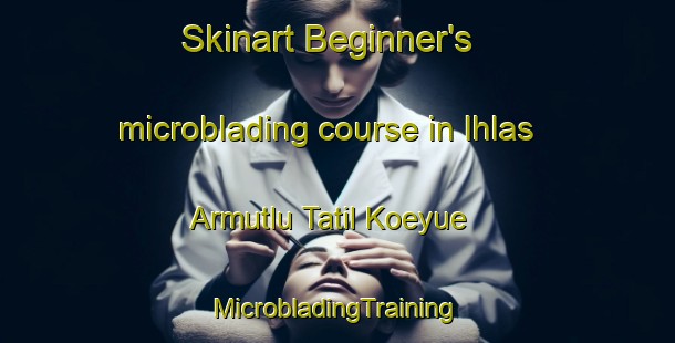 Skinart Beginner's microblading course in Ihlas Armutlu Tatil Koeyue | #MicrobladingTraining #MicrobladingClasses #SkinartTraining-Turkey