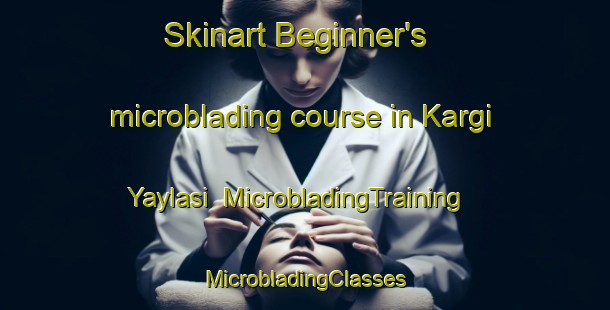 Skinart Beginner's microblading course in Kargi Yaylasi | #MicrobladingTraining #MicrobladingClasses #SkinartTraining-Turkey