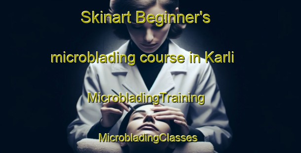 Skinart Beginner's microblading course in Karli | MicrobladingTraining | MicrobladingClasses | SkinartTraining-Turkey