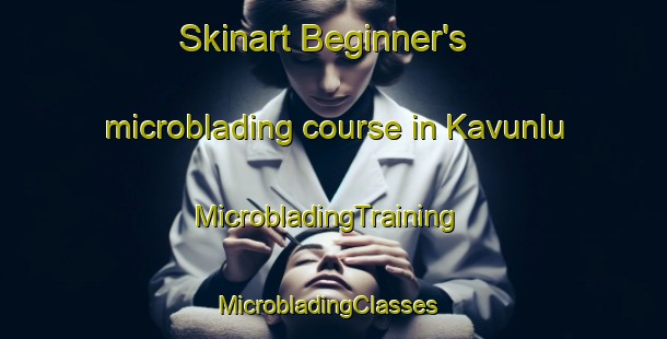 Skinart Beginner's microblading course in Kavunlu | MicrobladingTraining | MicrobladingClasses | SkinartTraining-Turkey