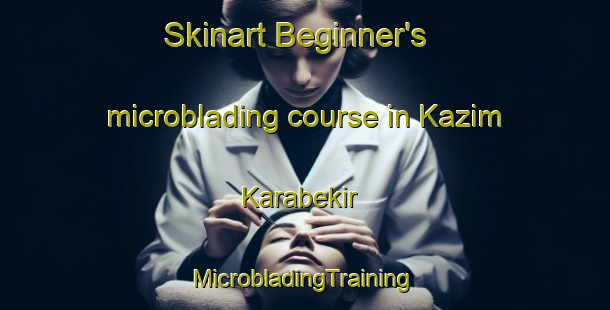 Skinart Beginner's microblading course in Kazim Karabekir | #MicrobladingTraining #MicrobladingClasses #SkinartTraining-Turkey