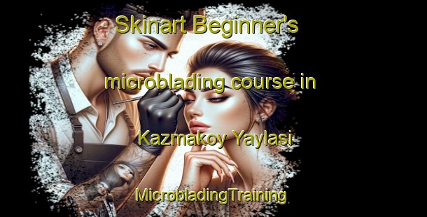 Skinart Beginner's microblading course in Kazmakoy Yaylasi | #MicrobladingTraining #MicrobladingClasses #SkinartTraining-Turkey