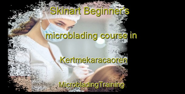 Skinart Beginner's microblading course in Kertmekaracaoren | #MicrobladingTraining #MicrobladingClasses #SkinartTraining-Turkey