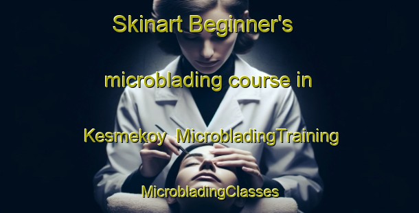 Skinart Beginner's microblading course in Kesmekoy | #MicrobladingTraining #MicrobladingClasses #SkinartTraining-Turkey