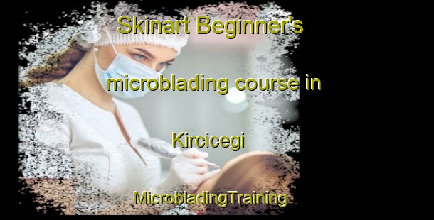 Skinart Beginner's microblading course in Kircicegi | MicrobladingTraining | MicrobladingClasses | SkinartTraining-Turkey