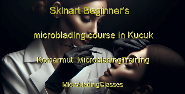 Skinart Beginner's microblading course in Kucuk Komarmut | #MicrobladingTraining #MicrobladingClasses #SkinartTraining-Turkey