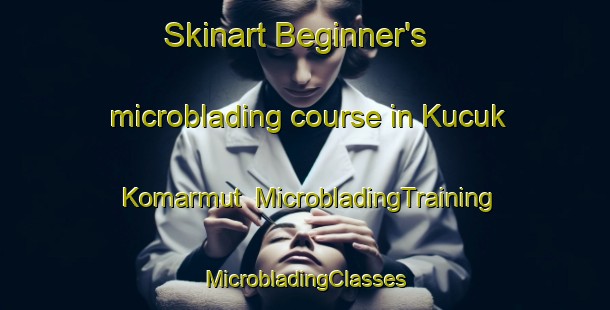 Skinart Beginner's microblading course in Kucuk Komarmut | #MicrobladingTraining #MicrobladingClasses #SkinartTraining-Turkey