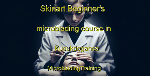 Skinart Beginner's microblading course in Kucukdoganca | #MicrobladingTraining #MicrobladingClasses #SkinartTraining-Turkey