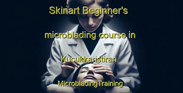 Skinart Beginner's microblading course in Kucukkaristiran | #MicrobladingTraining #MicrobladingClasses #SkinartTraining-Turkey