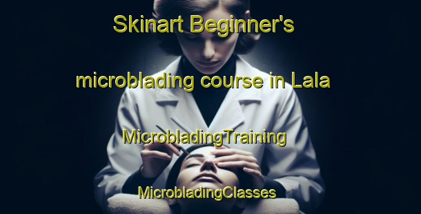 Skinart Beginner's microblading course in Lala | MicrobladingTraining | MicrobladingClasses | SkinartTraining-Turkey