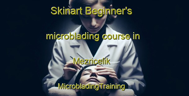 Skinart Beginner's microblading course in Mezricelik | MicrobladingTraining | MicrobladingClasses | SkinartTraining-Turkey