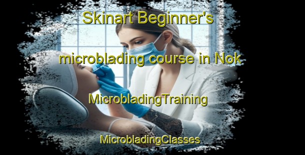 Skinart Beginner's microblading course in Nok | MicrobladingTraining | MicrobladingClasses | SkinartTraining-Turkey
