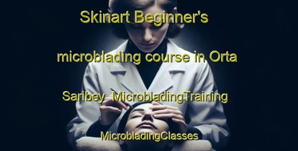 Skinart Beginner's microblading course in Orta Saribey | #MicrobladingTraining #MicrobladingClasses #SkinartTraining-Turkey