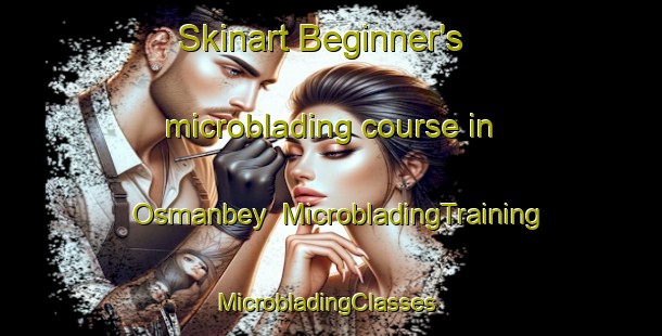 Skinart Beginner's microblading course in Osmanbey | MicrobladingTraining | MicrobladingClasses | SkinartTraining-Turkey