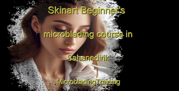 Skinart Beginner's microblading course in Sahanedirik | #MicrobladingTraining #MicrobladingClasses #SkinartTraining-Turkey