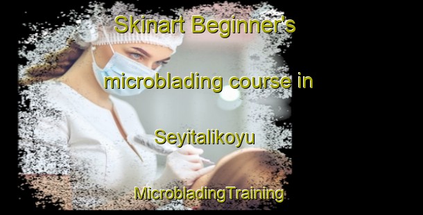 Skinart Beginner's microblading course in Seyitalikoyu | #MicrobladingTraining #MicrobladingClasses #SkinartTraining-Turkey