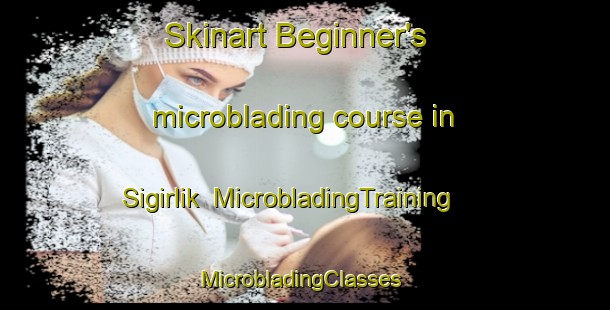Skinart Beginner's microblading course in Sigirlik | MicrobladingTraining | MicrobladingClasses | SkinartTraining-Turkey